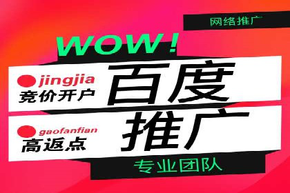 竞价SEM托管服务：成功案例揭秘